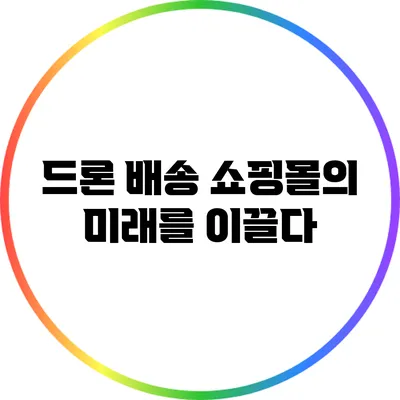 드론 배송: 쇼핑몰의 미래를 이끌다