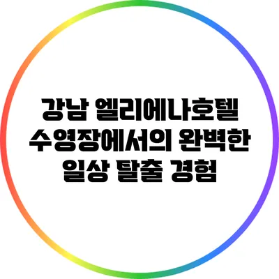 강남 엘리에나호텔 수영장에서의 완벽한 일상 탈출 경험