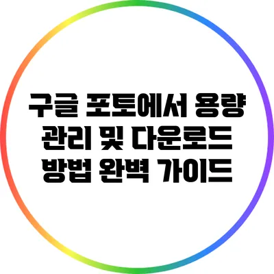 구글 포토에서 용량 관리 및 다운로드 방법 완벽 가이드