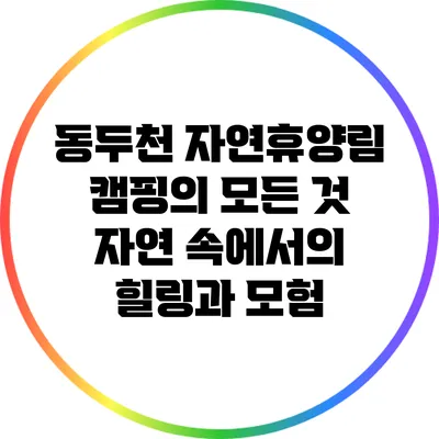 동두천 자연휴양림 캠핑의 모든 것: 자연 속에서의 힐링과 모험