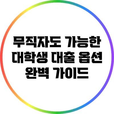 무직자도 가능한 대학생 대출 옵션 완벽 가이드