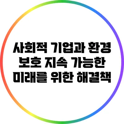 사회적 기업과 환경 보호: 지속 가능한 미래를 위한 해결책