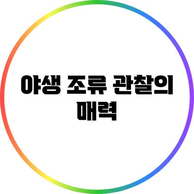 야생 조류 관찰의 매력