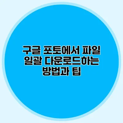 구글 포토에서 파일 일괄 다운로드하는 방법과 팁