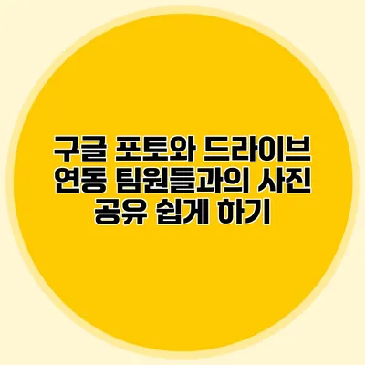 구글 포토와 드라이브 연동: 팀원들과의 사진 공유 쉽게 하기