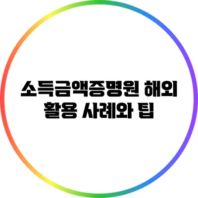 소득금액증명원 해외 활용 사례와 팁