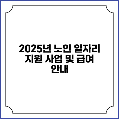 2025년 노인 일자리 지원 사업 및 급여 안내