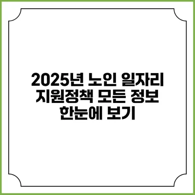 2025년 노인 일자리 지원정책: 모든 정보 한눈에 보기