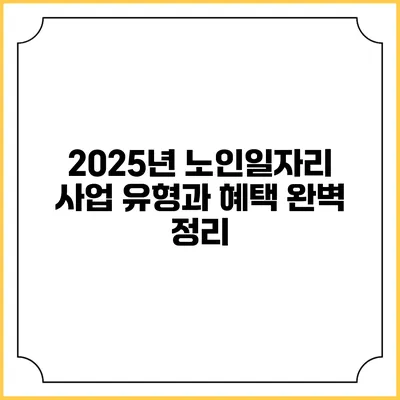2025년 노인일자리 사업 유형과 혜택 완벽 정리