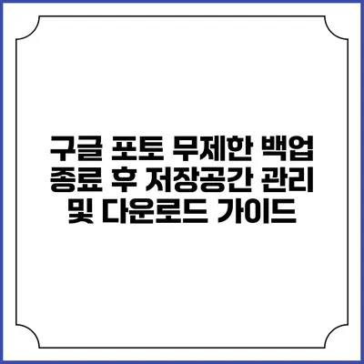 구글 포토 무제한 백업 종료 후 저장공간 관리 및 다운로드 가이드