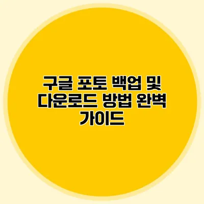 구글 포토 백업 및 다운로드 방법 완벽 가이드