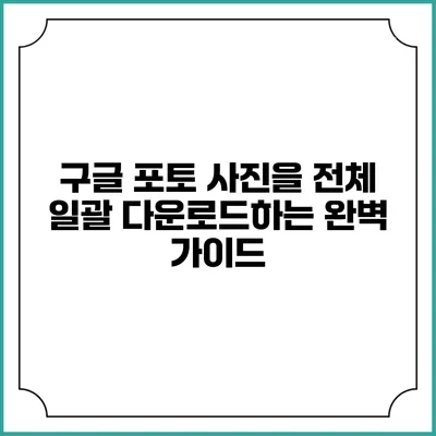 구글 포토 사진을 전체 일괄 다운로드하는 완벽 가이드