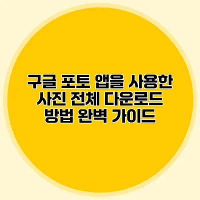 구글 포토 앱을 사용한 사진 전체 다운로드 방법 완벽 가이드