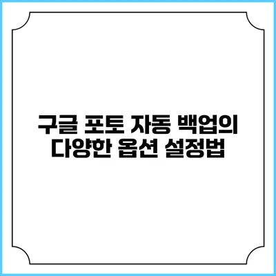 구글 포토 자동 백업의 다양한 옵션 설정법