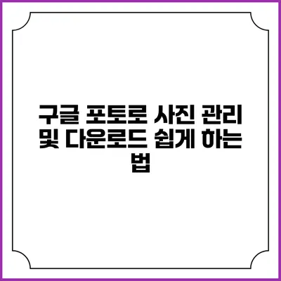 구글 포토로 사진 관리 및 다운로드 쉽게 하는 법