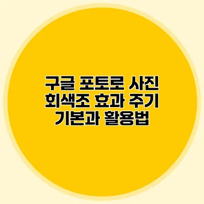 구글 포토로 사진 회색조 효과 주기: 기본과 활용법
