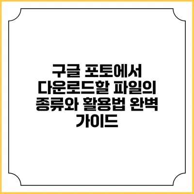 구글 포토에서 다운로드할 파일의 종류와 활용법 완벽 가이드