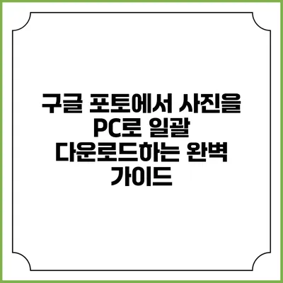 구글 포토에서 사진을 PC로 일괄 다운로드하는 완벽 가이드