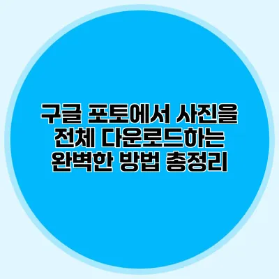 구글 포토에서 사진을 전체 다운로드하는 완벽한 방법 총정리