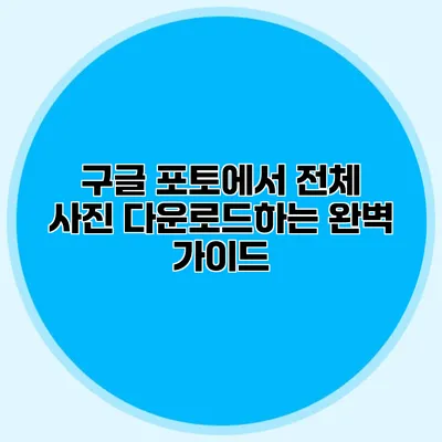 구글 포토에서 전체 사진 다운로드하는 완벽 가이드