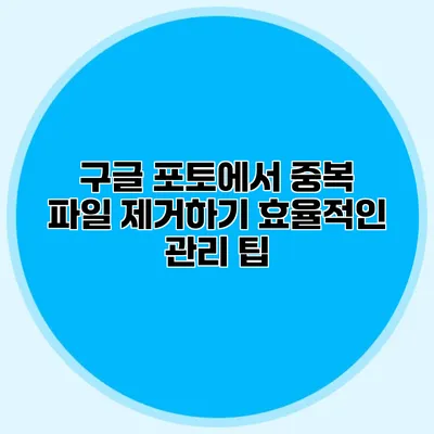 구글 포토에서 중복 파일 제거하기: 효율적인 관리 팁