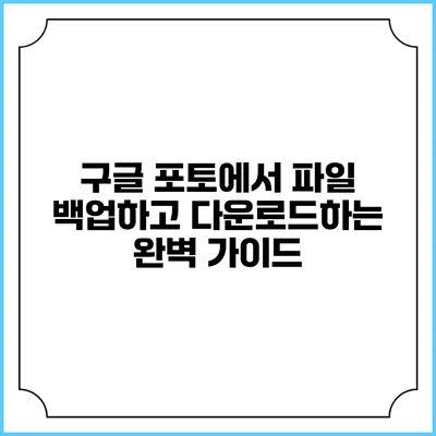 구글 포토에서 파일 백업하고 다운로드하는 완벽 가이드
