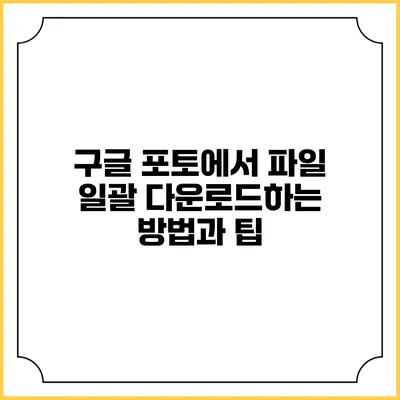 구글 포토에서 파일 일괄 다운로드하는 방법과 팁