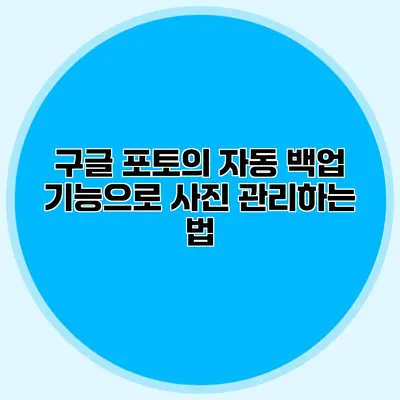 구글 포토의 자동 백업 기능으로 사진 관리하는 법
