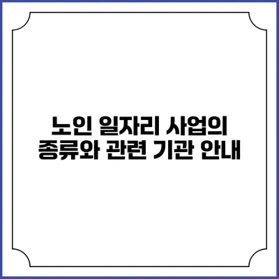 노인 일자리 사업의 종류와 관련 기관 안내