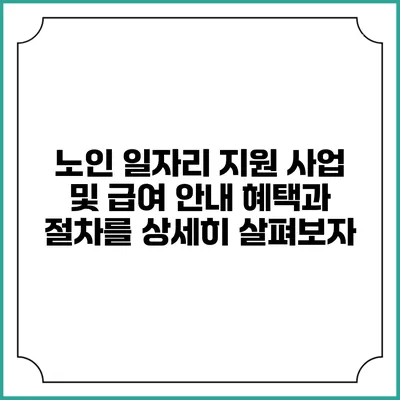 노인 일자리 지원 사업 및 급여 안내: 혜택과 절차를 상세히 살펴보자