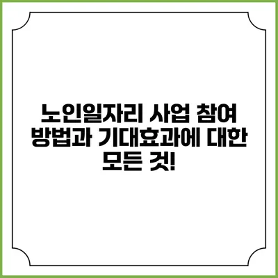 노인일자리 사업 참여 방법과 기대효과에 대한 모든 것!