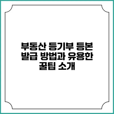 부동산 등기부 등본 발급 방법과 유용한 꿀팁 소개