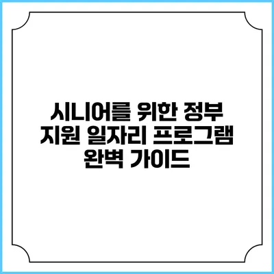 시니어를 위한 정부 지원 일자리 프로그램 완벽 가이드
