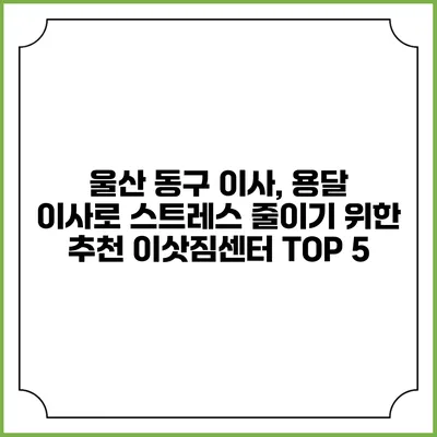울산 동구 이사, 용달 이사로 스트레스 줄이기 위한 추천 이삿짐센터 TOP 5