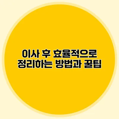이사 후 효율적으로 정리하는 방법과 꿀팁