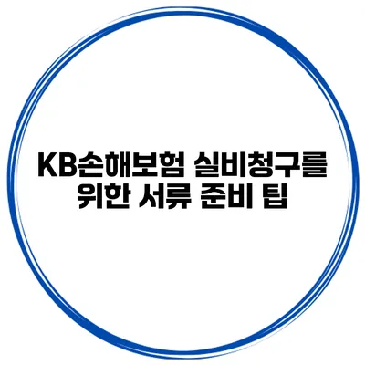 KB손해보험 실비청구를 위한 서류 준비 팁