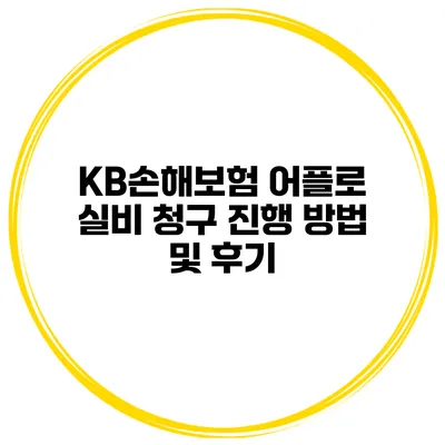 KB손해보험 어플로 실비 청구 진행 방법 및 후기